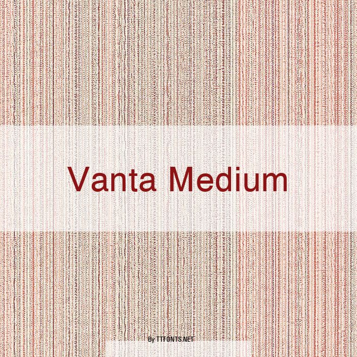 Vanta Medium example
